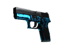 P250