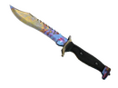 ★ Bowie Knife