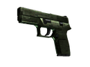 P250